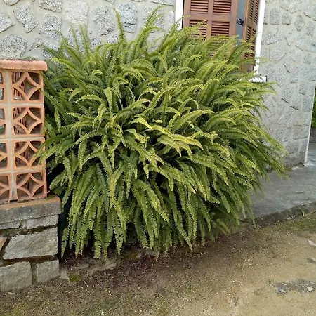1 Maison En Pierre Villa